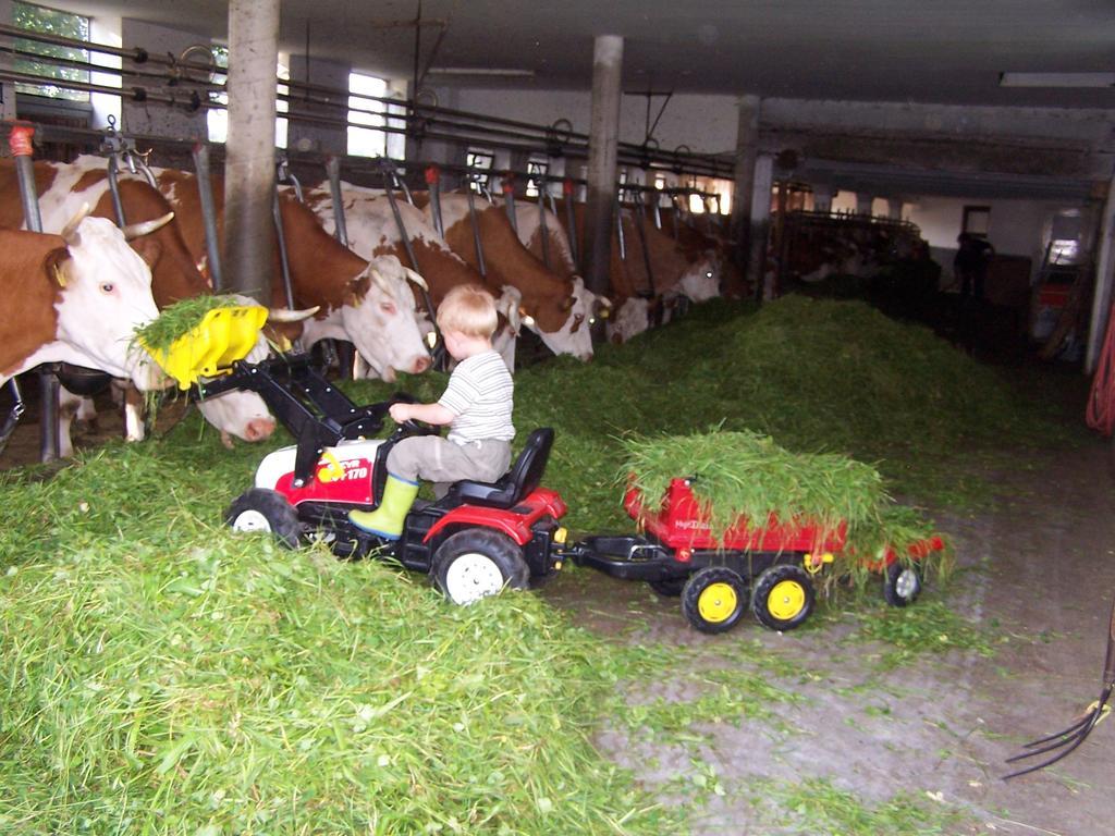 Baby- Und Kinderhof Aicherbauer Seeham Exterior foto