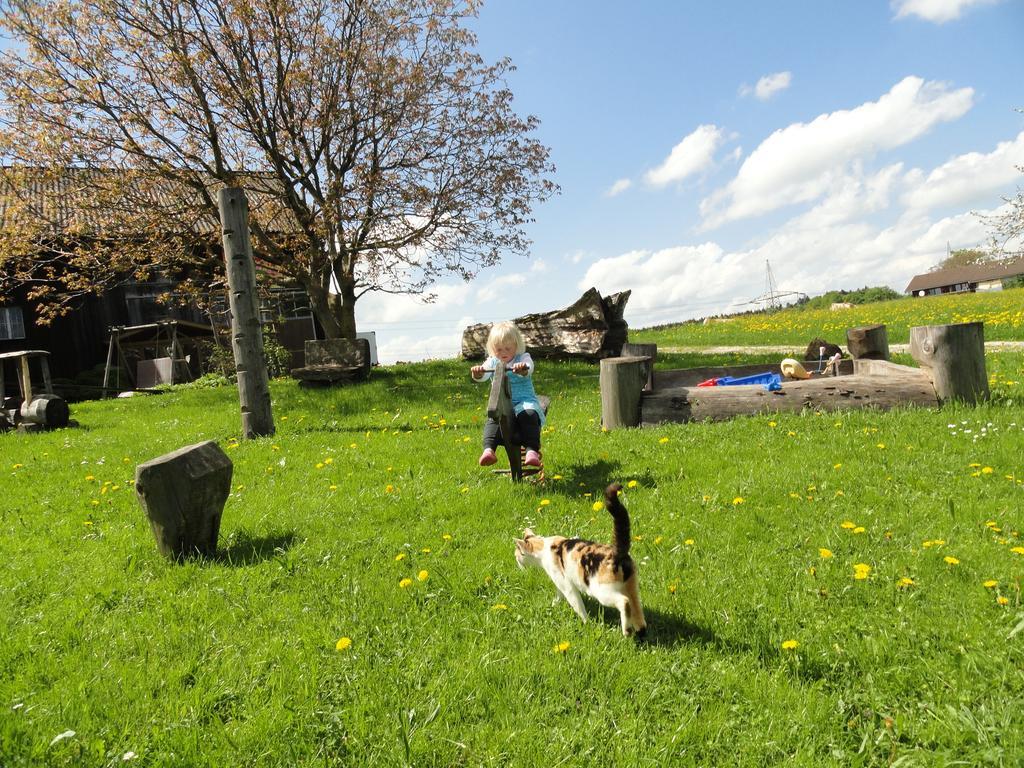 Baby- Und Kinderhof Aicherbauer Seeham Exterior foto